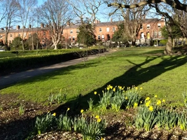 Dartmouth Square Park