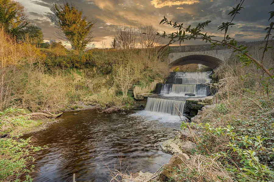 Dodder River