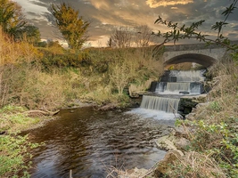 Dodder River