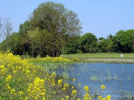 Kilbogget Park