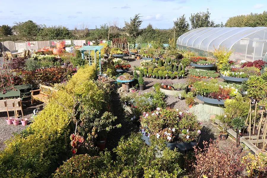 Lucan Garden Centre