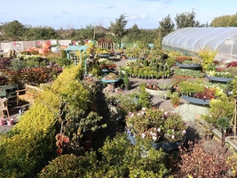 Lucan Garden Centre