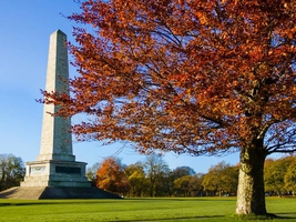 Wellington Monument