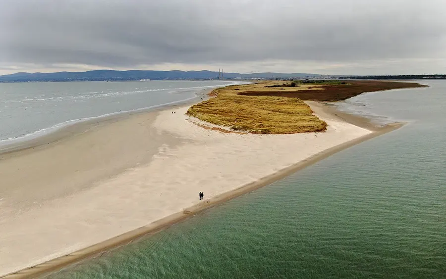 Bull Island Beach