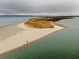 Bull Island Beach