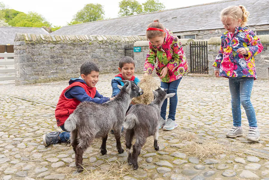 Newbridge House and Farm