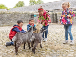 Newbridge House and Farm